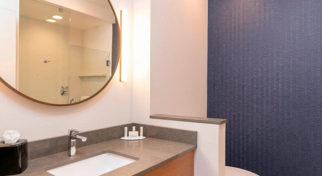 Двухместный люкс Fairfield Inn & Suites by Marriott Fair Oaks Farms
