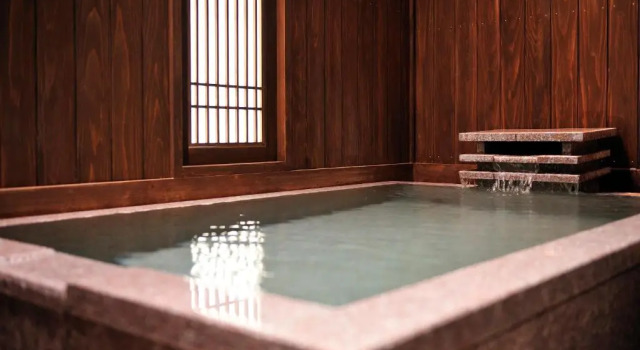 Номер Japanese-Style Superior Hakone Onsen Ryokan Yaeikan