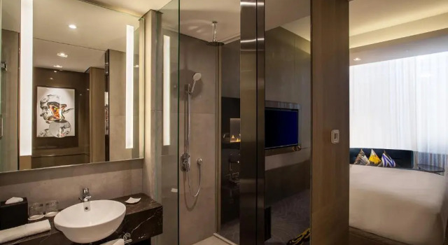 Двухместный room Superior Novotel Singapore On Stevens