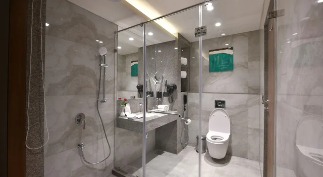 Люкс Luxury Regenta Fairlark Vadodara
