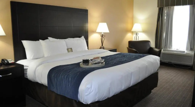 Номер Standard Comfort Inn Oak Ridge - Knoxville