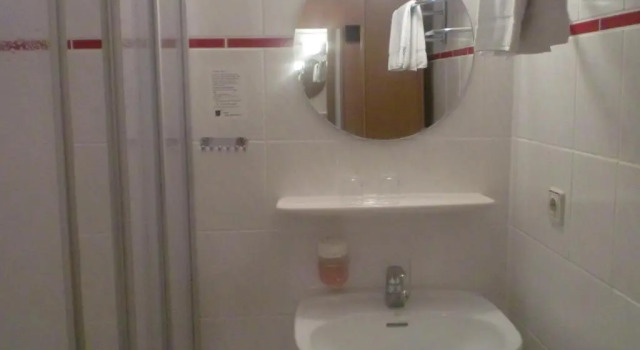 Одноместный номер Standard Hotel & Restaurant "Zum Firstenstein"