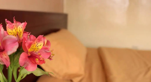 Standard Kahden hengen huone Hotel Norte