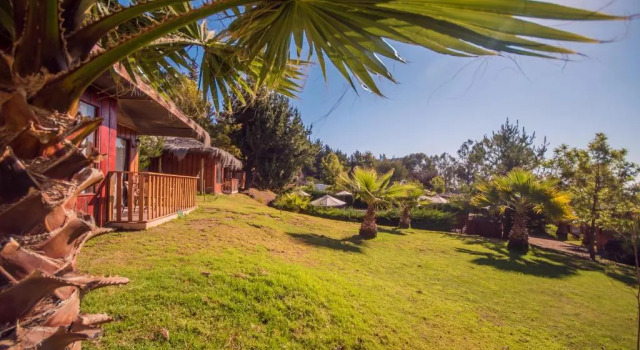 Бунгало с 2 комнатами Pao Pao Lodge Algarrobo