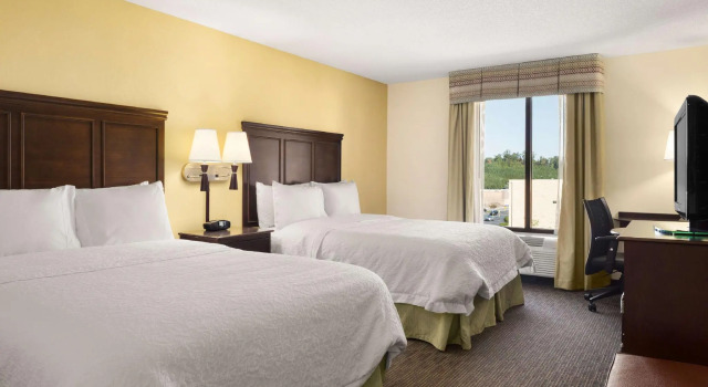 Четырёхместный номер Standard Hampton Inn & Suites Birmingham/280 East-Eagle Point