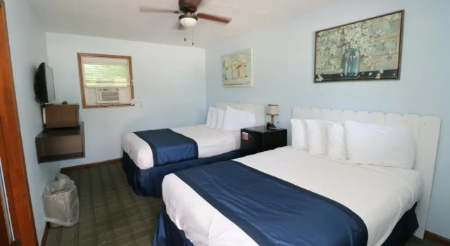 Двухместный номер Standard Birds Nest Resort