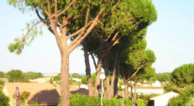 Maison de 2 chambres a Vendres a 800 m de la plage avec piscine partagee jardin amenage et wifi, Book Hotel Vendres Hérault