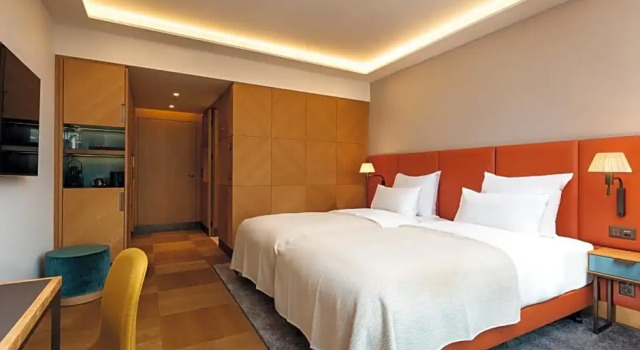 Номер Deluxe Mövenpick Hotel Basel