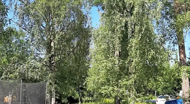 Tammirannantie 4 Mänttä, Rezervovat Hotel Hotely v Central Finland s parkováním, Parkování