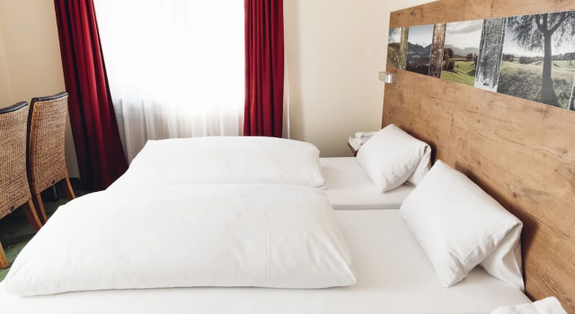 Двухместный номер Standard Rührberger Hof Hotel & Restaurant Grenzach-Wyhlen bei Basel