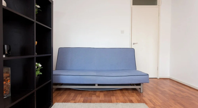 Spacious Flat Minutes from Kings Cross