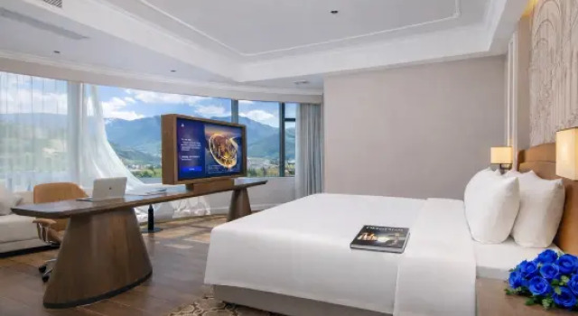 Люкс Deluxe Vienna International Hotel (Longquan Square, Guangdong Pharmaceutical University Branch)