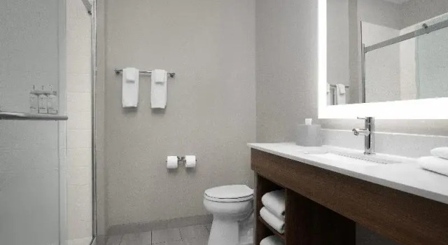 Двухместный люкс Holiday Inn Express And Suites Bessemer - Birmingham West