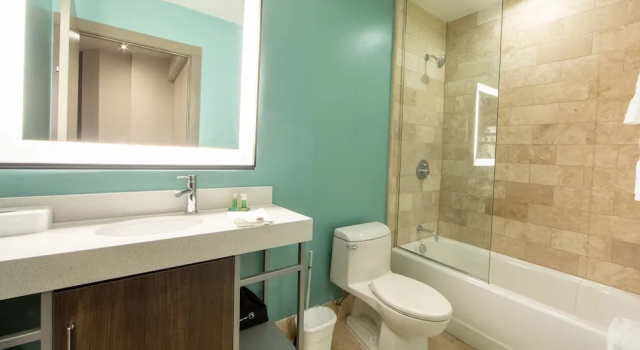 Одноместный номер Standard Holiday Inn Club Vacations New Orleans Resort