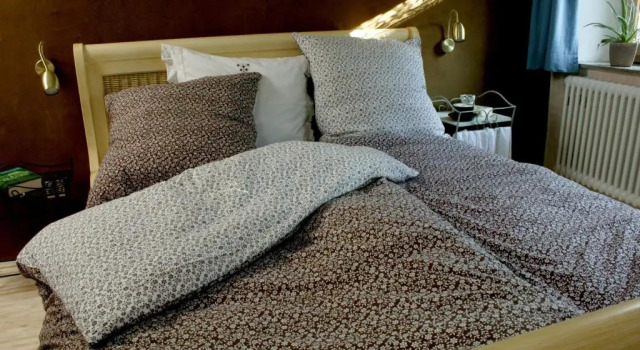 Номер Standard Landhotel Pension Haus Sonneck