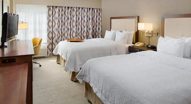 Четырёхместный номер Standard Hampton Inn Philadelphia/Willow Grove