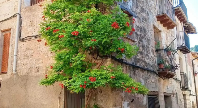 Apartamento Burgués