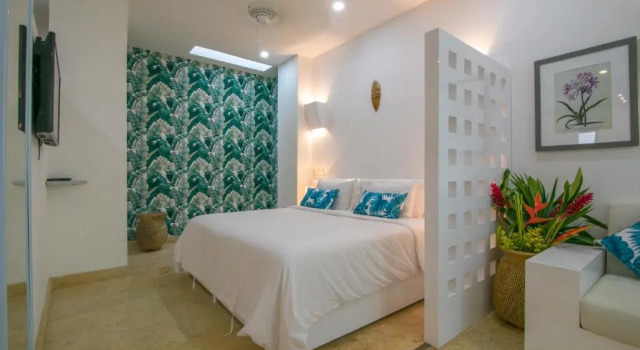 Апартаменты Deluxe El Cactus Luxury Apartments in Historic Center