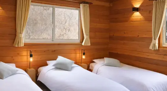 Номер Standard RENEST