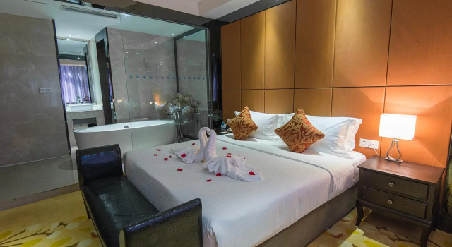 Люкс Deluxe Holiday Inn Express Wuhan Jinyin Lake by IHG