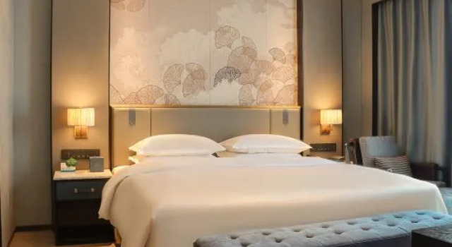 Люкс Deluxe Citilink Oasis Liupanshui
