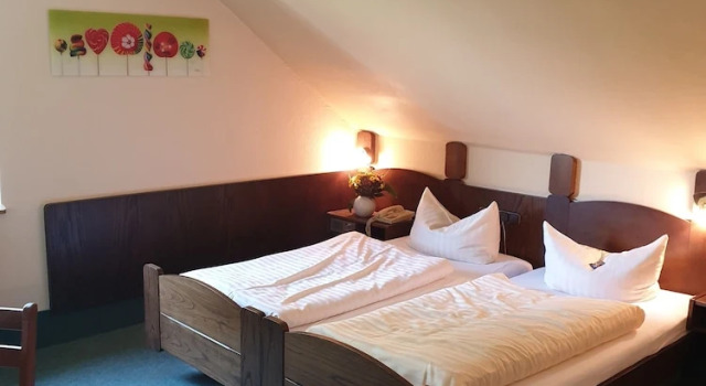 Номер Economy Heidehotel Anna