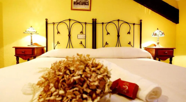 Двухместный номер Standard Hotel Casa de Indianos Don Tomás