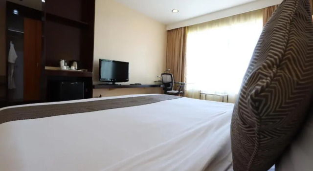 Двухместный номер Business Paseo Premiere Hotel