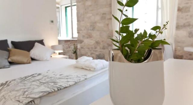 Номер Superior Speruna Luxury Inn