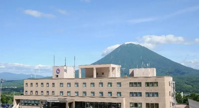Номер Deluxe Hotel Niseko Alpen