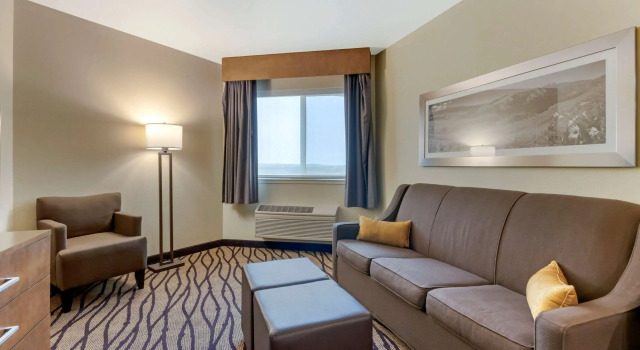 Двухместный люкс Comfort Inn & Suites Market - Airport