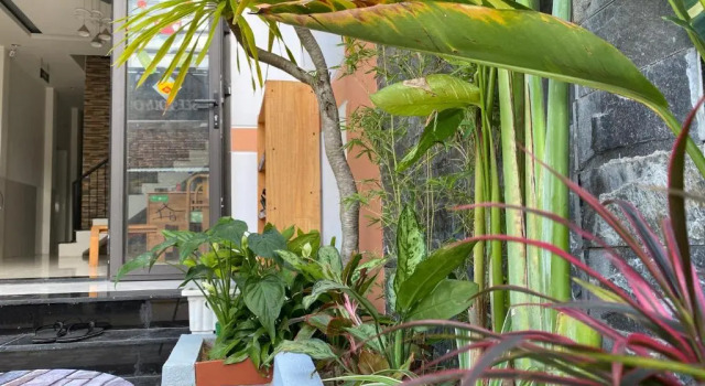 Трёхместный номер Superior Little Boss Homestay