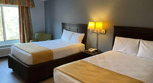 Люкс c 1 комнатой SureStay Plus Hotel by Best Western Durham Medical Center