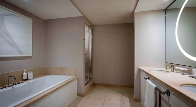 1 slaapkamer Tweepersoonssuite uitzicht op de rivier The Morrison Dublin - a DoubleTree by Hilton Hotel