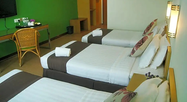 Номер Superior Tang Dynasty Park Hotel