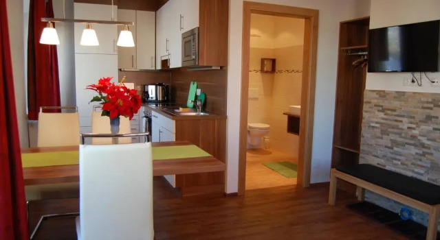 Студия Deluxe Appartement Pension Albert summercard and free parking included