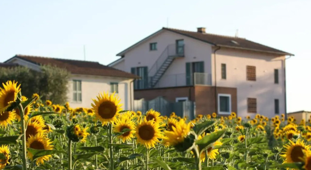 Коттедж La Collina del Girasole