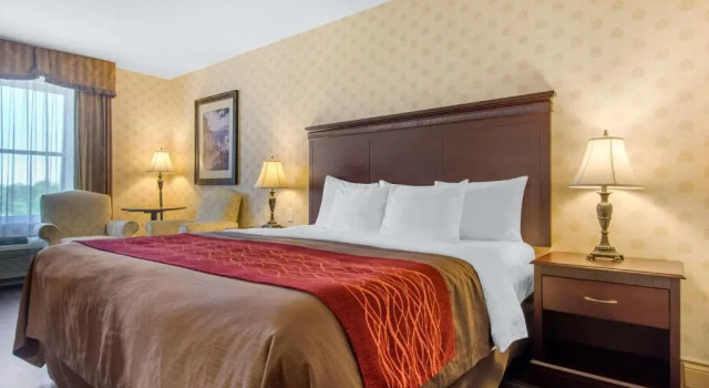 Номер Standard Comfort Inn & Suites