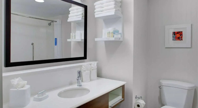 Номер Standard Hampton Inn & Suites Manchester, Vt