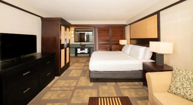 Двухместный номер Курорт DoubleTree by Hilton Orlando Theme Park