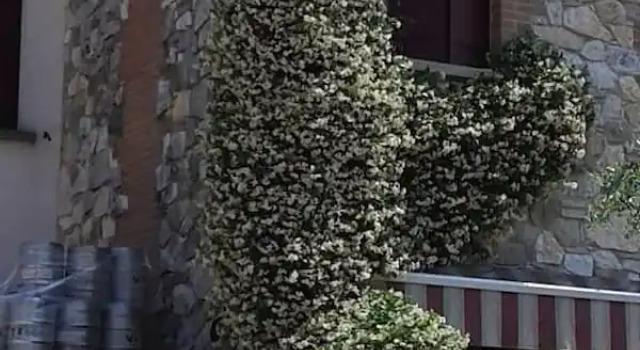 Residence Tenuta Gambalonga, Rezervați Hotel Colli Euganei Regional Park Veneția