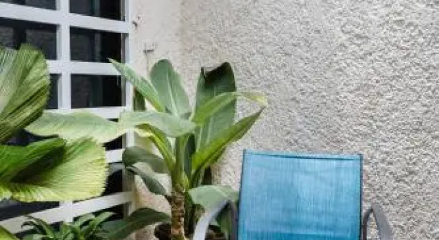 El depa de Acuario, Rezerwuj Apartament Cancún Quintana Roo