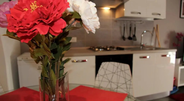 Апартаменты Katana Apartments