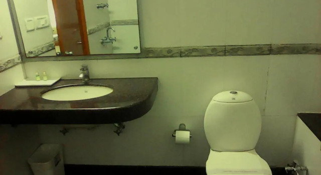 Двухместный номер Deluxe Airport Hotel