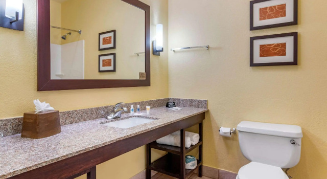 Четырёхместный люкс Spark by Hilton Houston near the Galleria