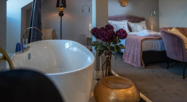 Номер Deluxe Hotel Pałac Alexandrinum