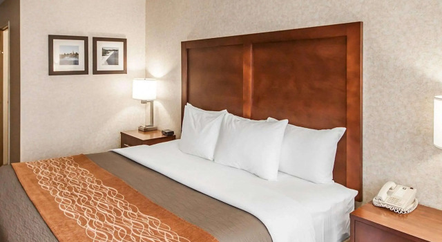 Standard Doppel Zimmer Quality Inn