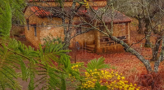 Коттедж с видом на внутренний двор Finca la Viriñuela