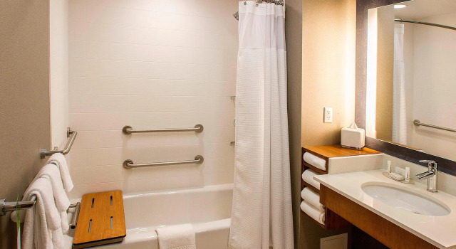 Двухместная студия SpringHill Suites by Marriott Deadwood