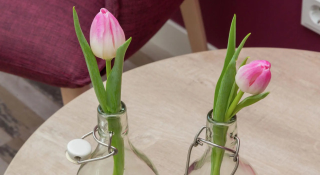 Serene Holiday Home in Oostkapelle near Center & Forest, Prenota Hotel Oostkapelle Zelanda